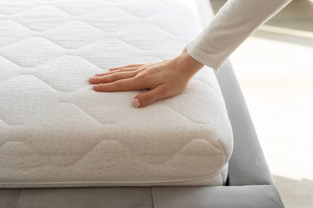 Istockphoto 2167902423 612x612